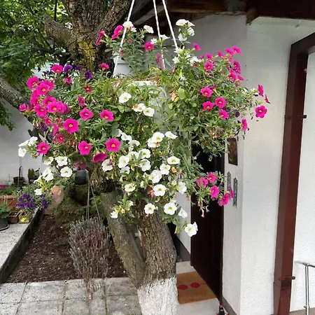 Music And Garden Apartment *