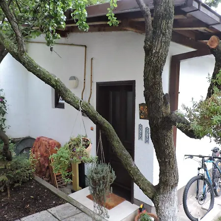 Free Parking Music And Garden