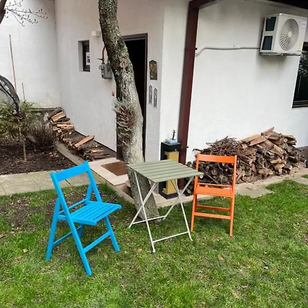 Apartment Music And Garden